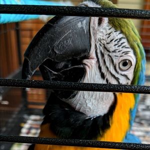 Meet your Posher, Jeniffer